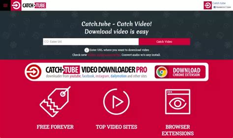 This application is one of the best ways to download videos from 1000 sites to your computer. . Download a video from any site